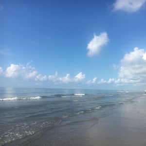 Meet your Posher, Polly.